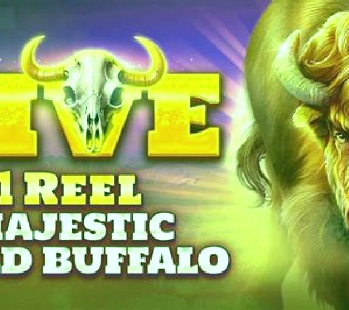 1 Reel Majestic Wild Buffalo slot