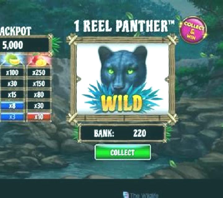 1 Reel Panther slot machine