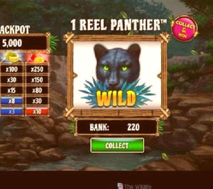 1 Reel Panther slot