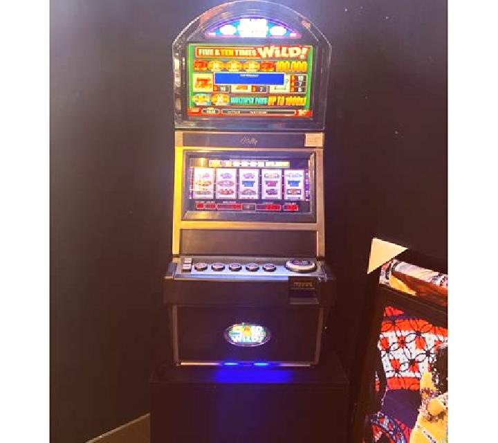 10 Times Wild online slot