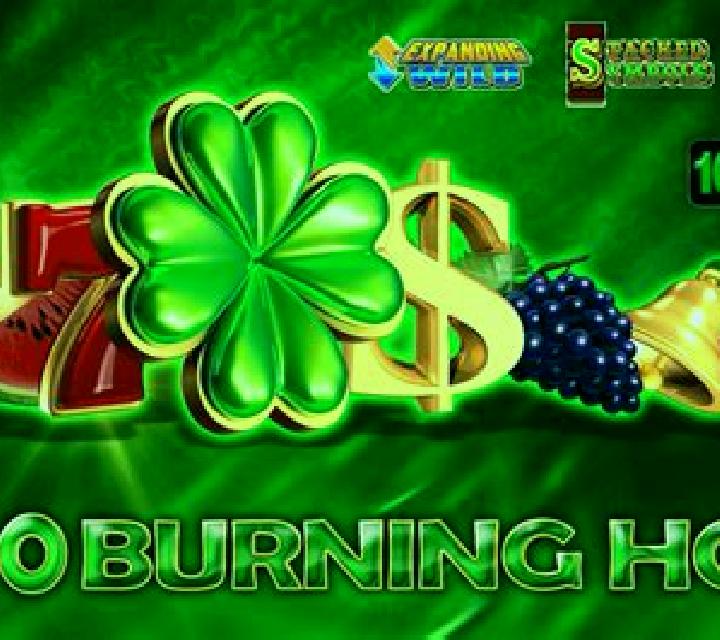 100 Burning Hot slot game