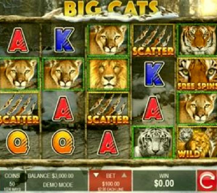 100 Cats online slot