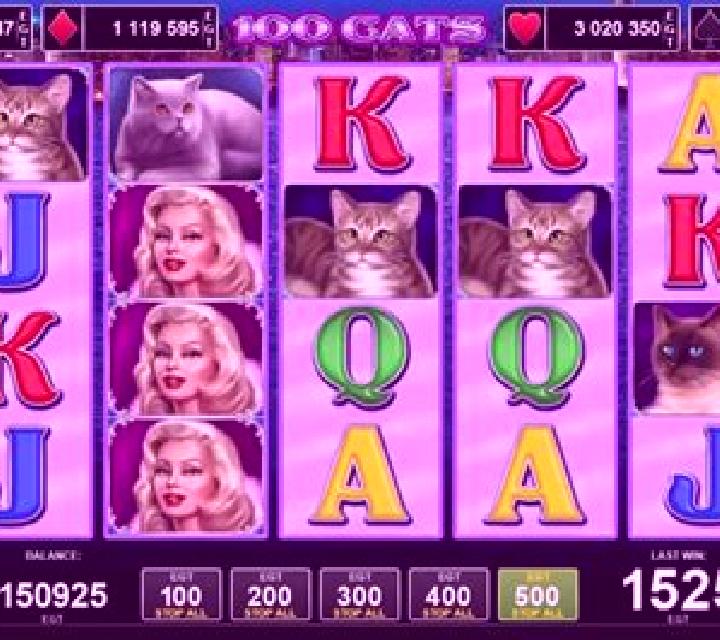 100 Cats slot game