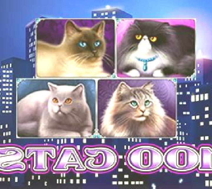 100 Cats slot