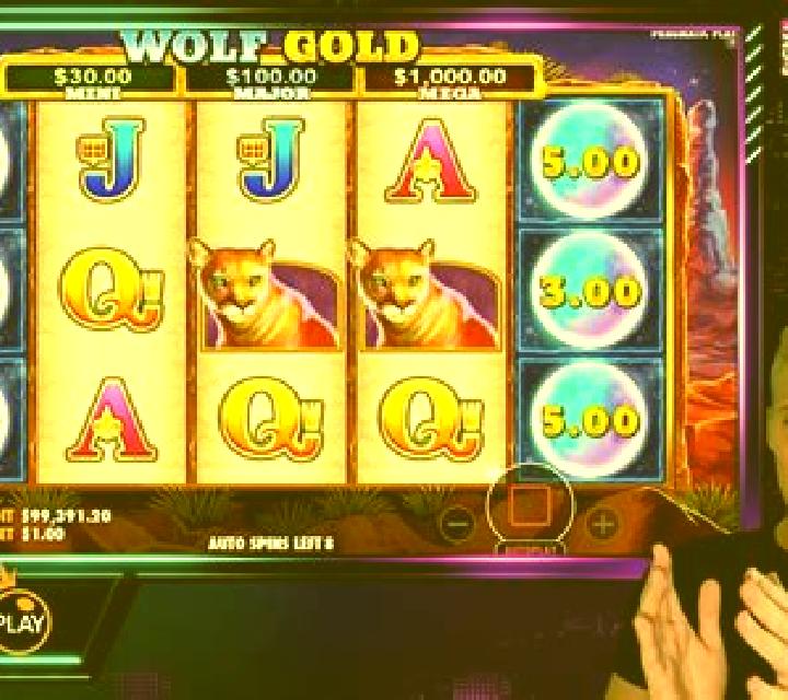 101 Wolfpack slot