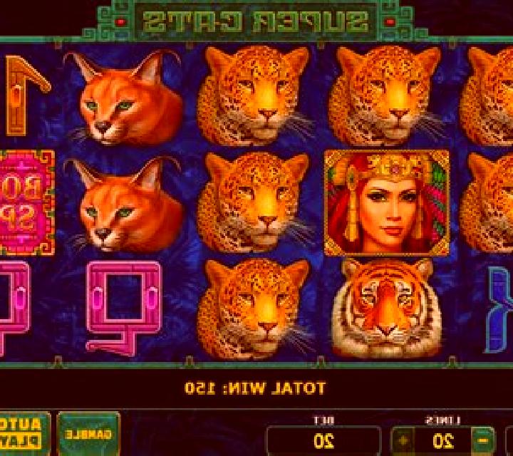 13 Black Cats slot game