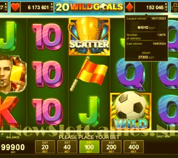 20 Wild Goals slot game