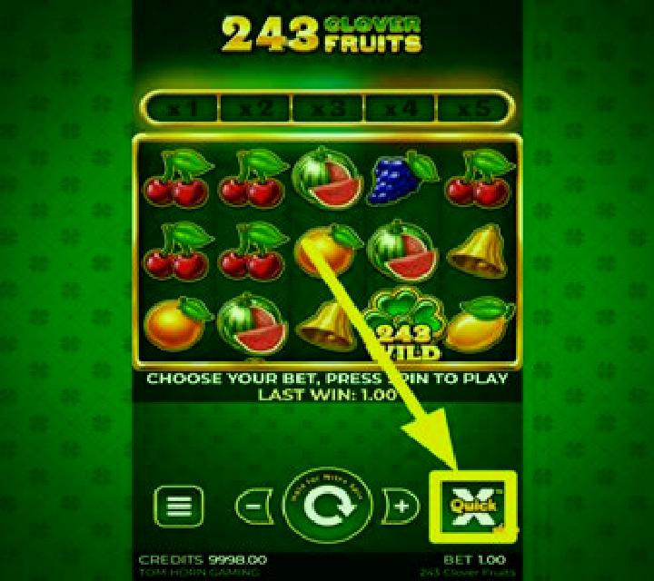 243 Clover Fruits slot