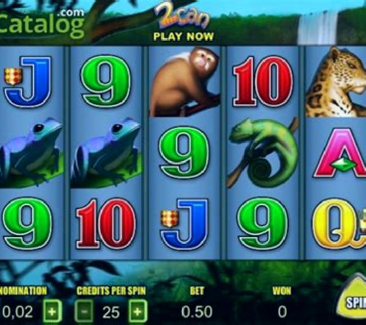 2Can slot