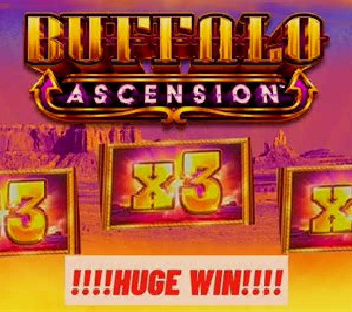3 Blazing Buffalos: Hold & Win slot machine