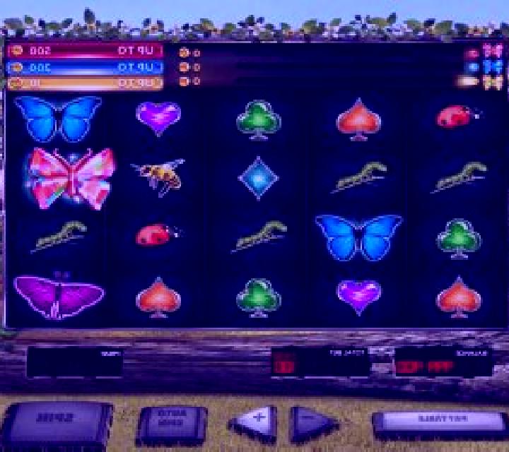 3 Butterflies slot