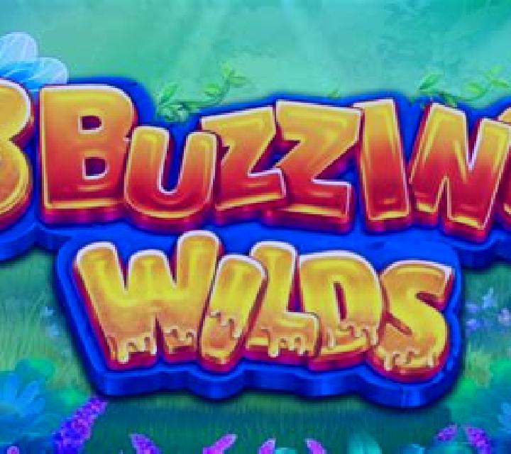 3 Buzzing Wilds slot