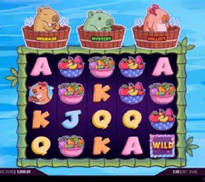 3 Capybaras online slot