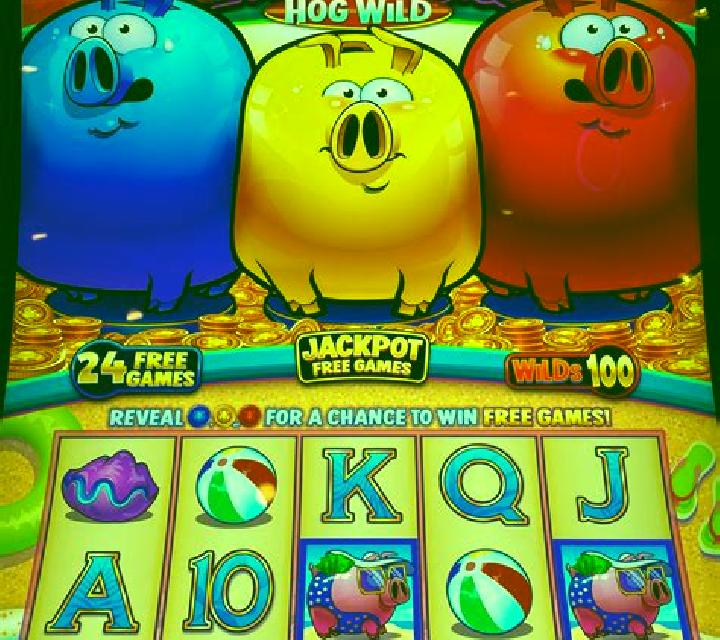 3 Rich Piggies slot game