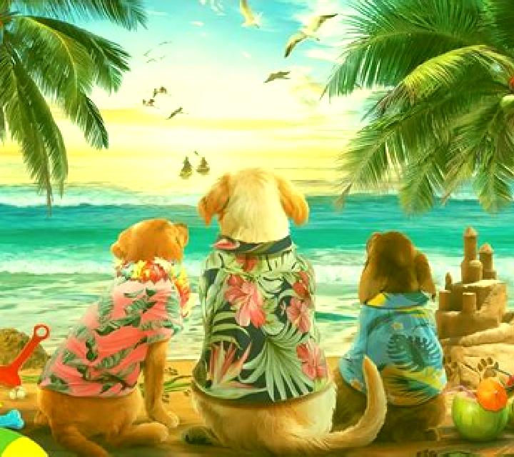 3 Wonders Santa on the Beach online slot