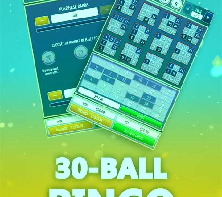 30 Ball BINGO slot machine