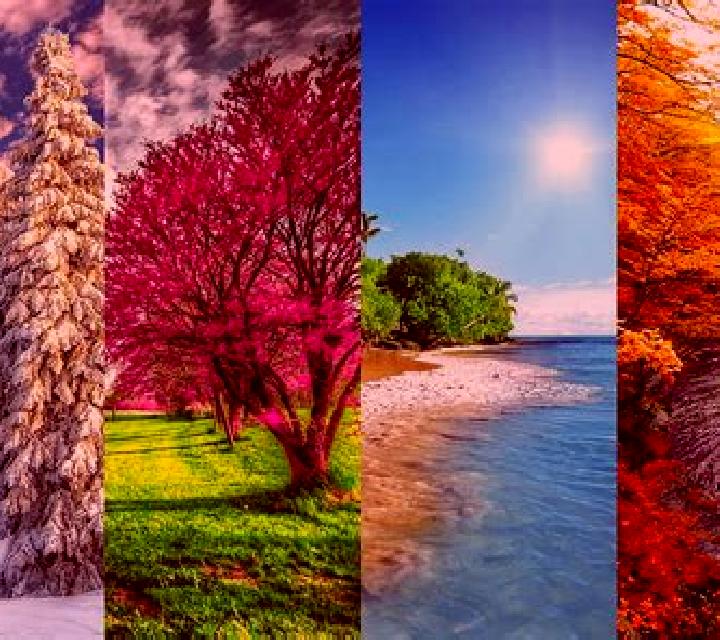 4 Seasons: Winter slot game