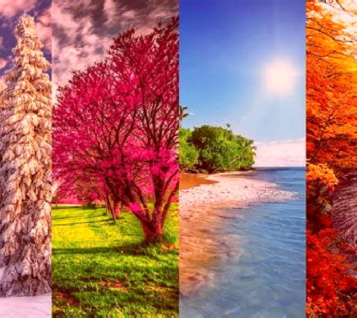 4 Seasons: Winter slot