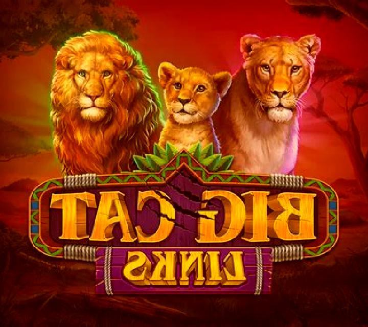 4 Wild Wolves slot game