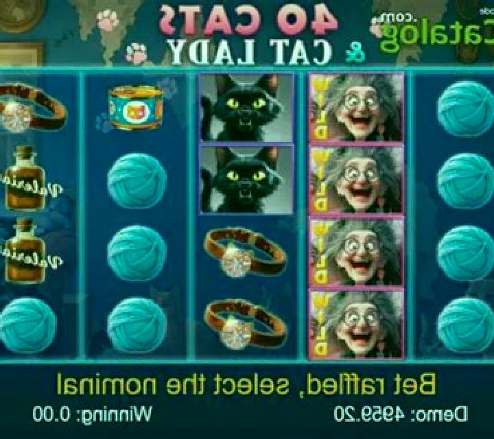 40 Cats And Cat Lady slot