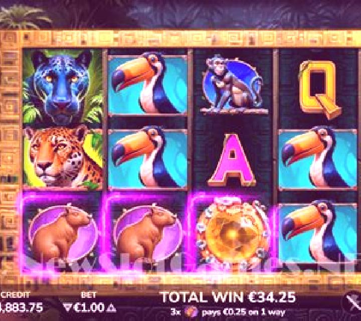 5 Amazon Jewels slot