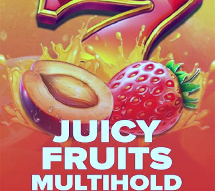 5 Christmas Fruits slot game