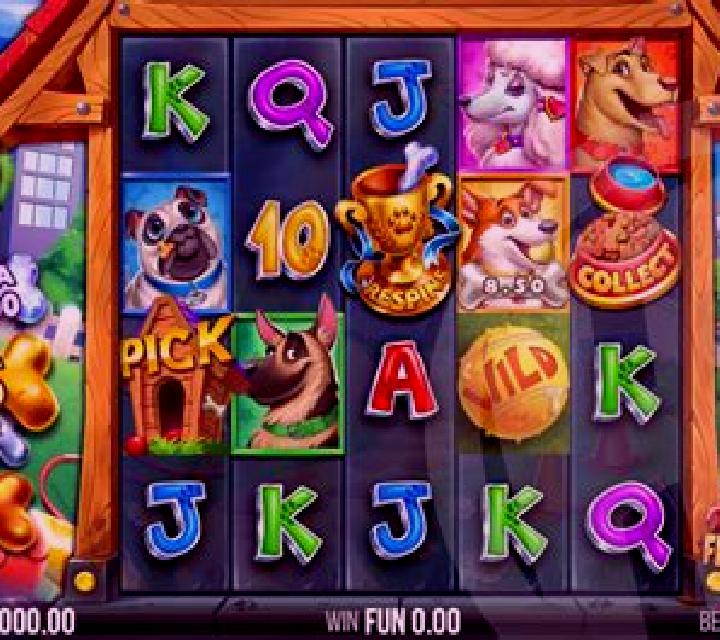 5 Doggy Dollars slot game