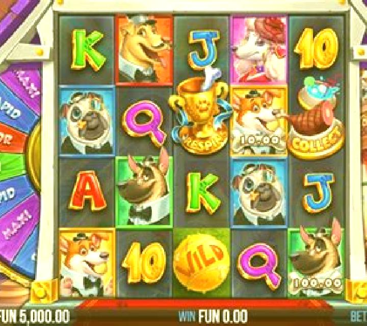 5 Doggy Millionaires Dream Drop slot game