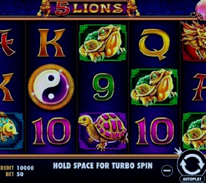 5 Lions slot machine