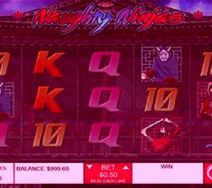 5 Ninjas slot machine