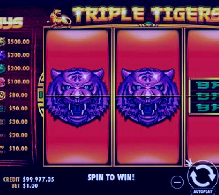 5 Tigers slot game