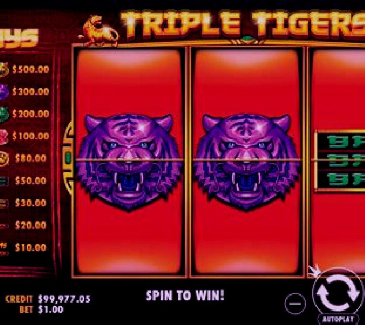 5 Tigers slot machine