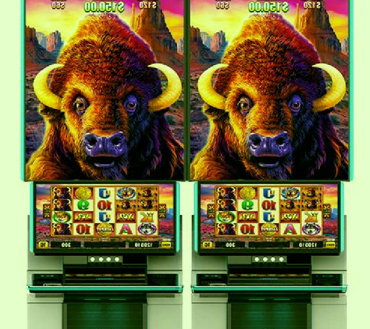 5 Wild Buffalo slot machine