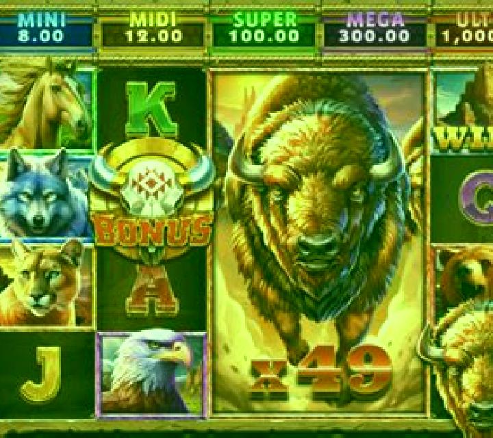 5 Wild Buffalo slot