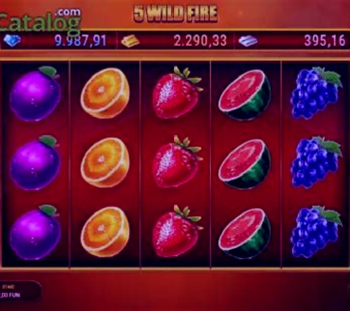 5 Wild Fire slot
