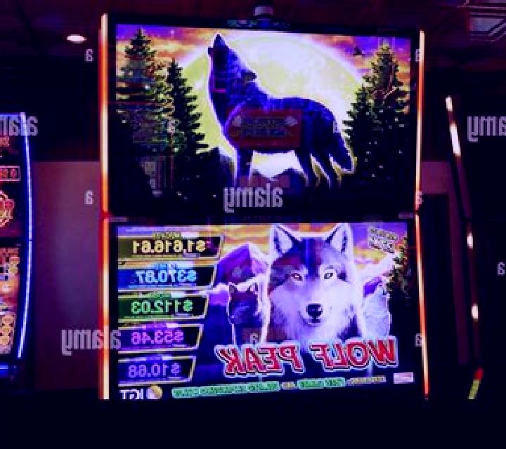 5 Wild Wolves slot machine