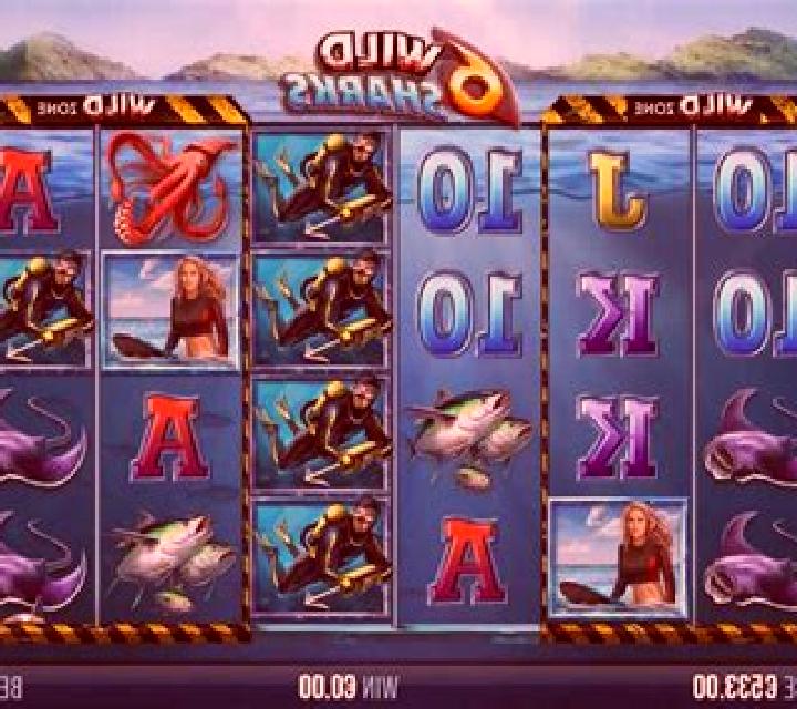 6 Wild Sharks slot game