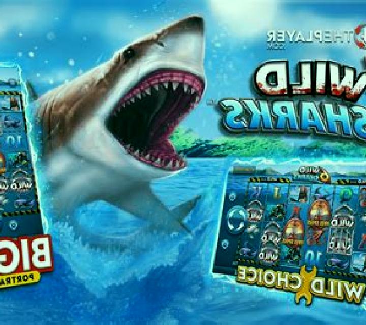 6 Wild Sharks slot machine