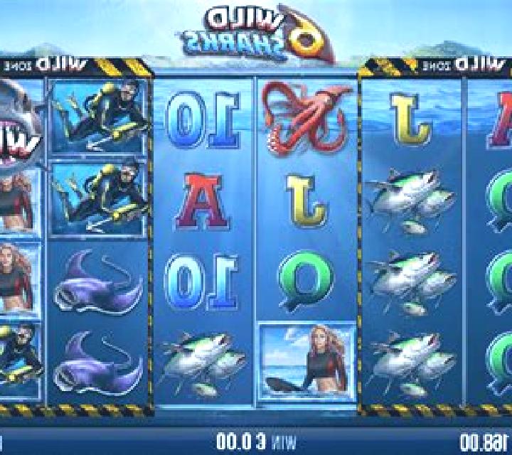6 Wild Sharks slot