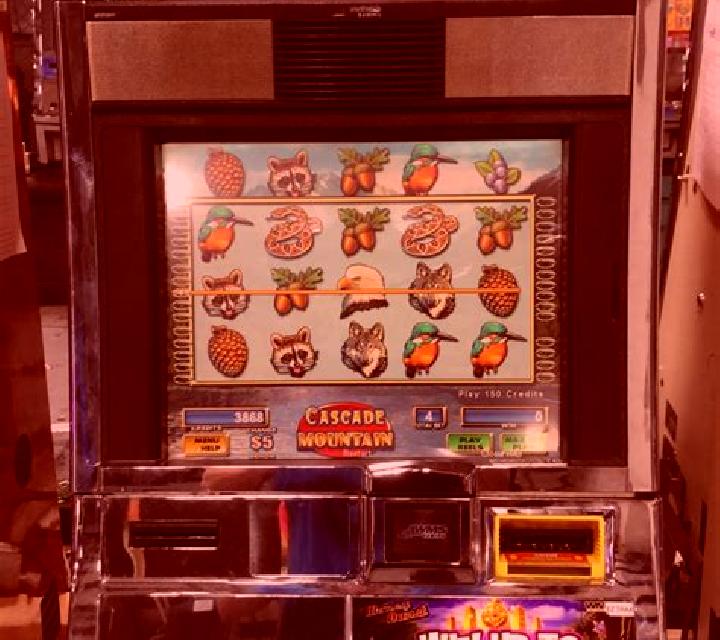81 Gold Cascade slot machine