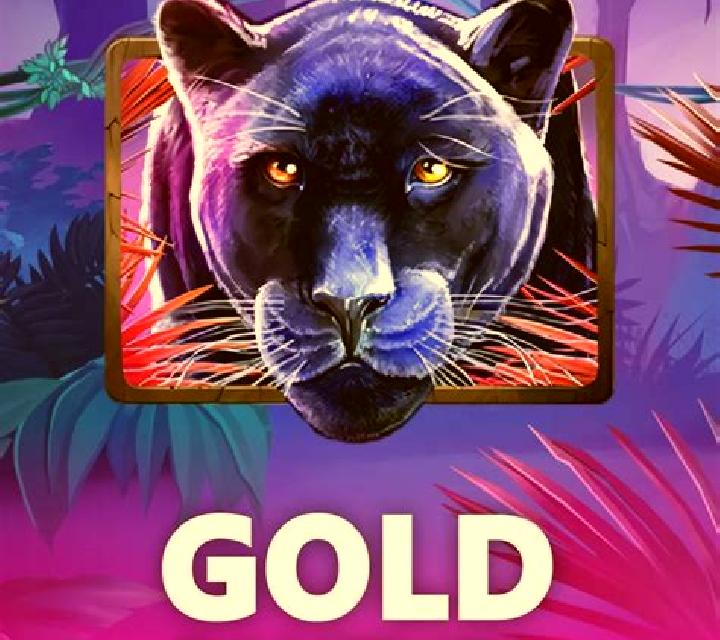 81 Panther slot game