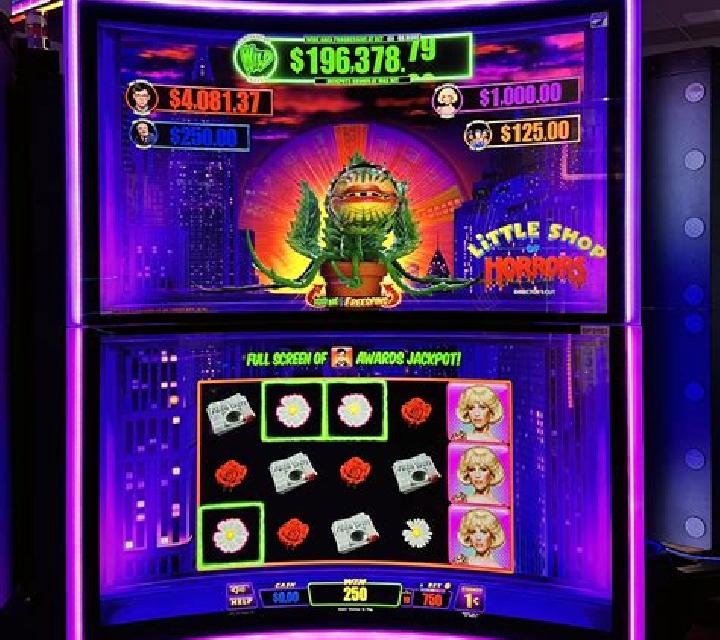 81 Premium slot game