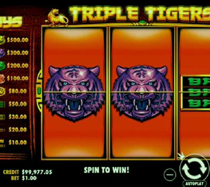 9 Tigers slot game