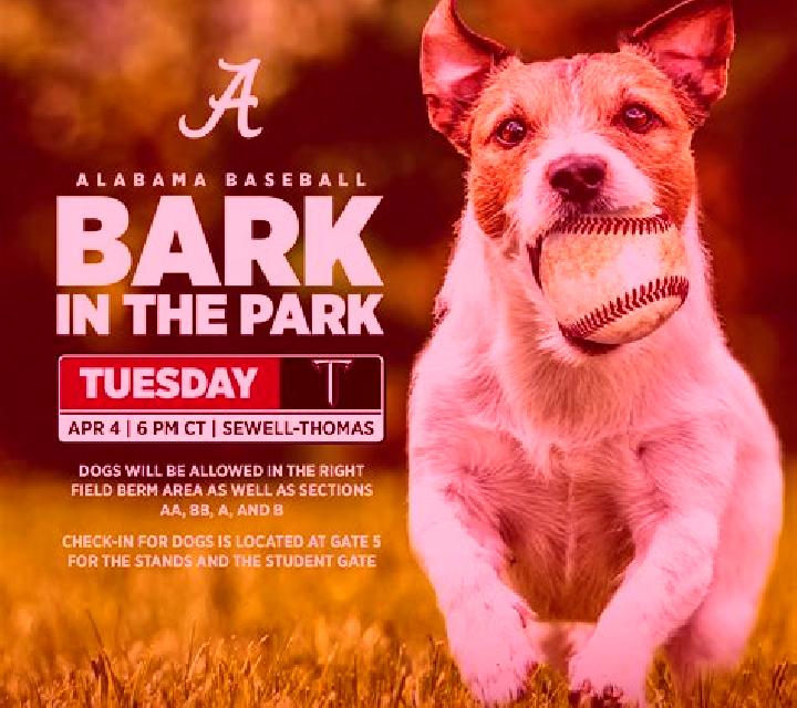 A bark in the park online slot