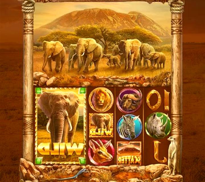 Aaaahhhh! Wild King online slot