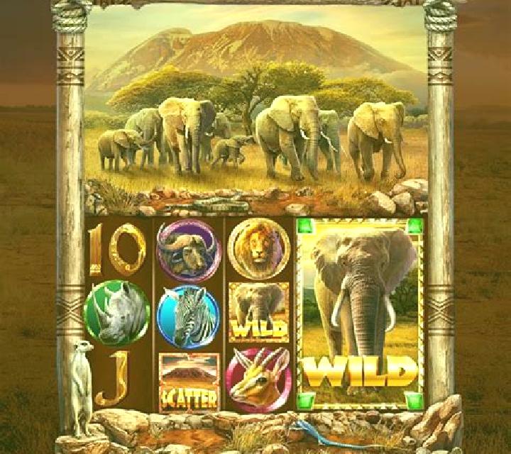 Aaaahhhh! Wild King slot