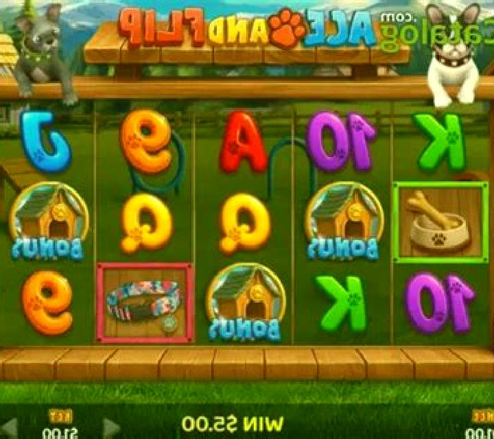 Ace and Flip slot