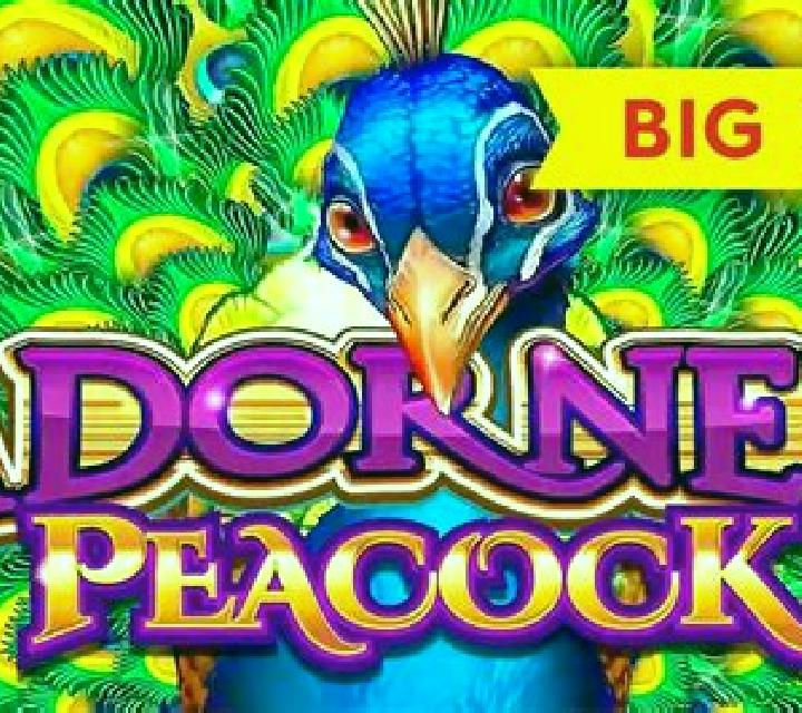 Adorned Peacock slot game