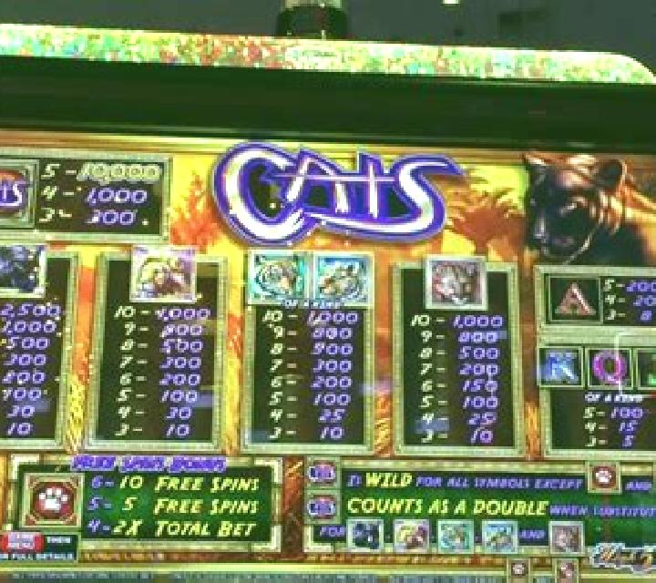 African Cats slot machine