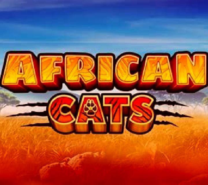 African Cats slot
